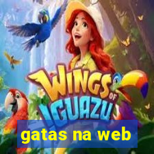 gatas na web